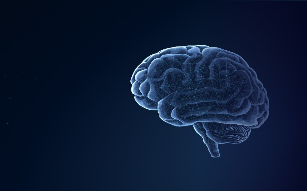 Veracite Human-In-The-Loop Banner Image